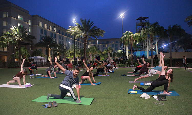 Tuesday morning sunrise yoga experience