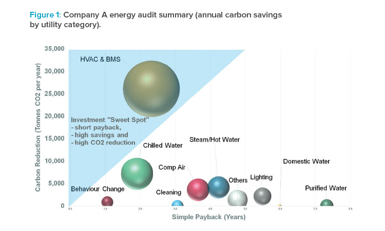 Two Real-World Experiences in Global Sustainability