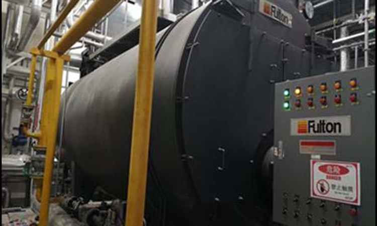 Boehringer - Plant steam boiler