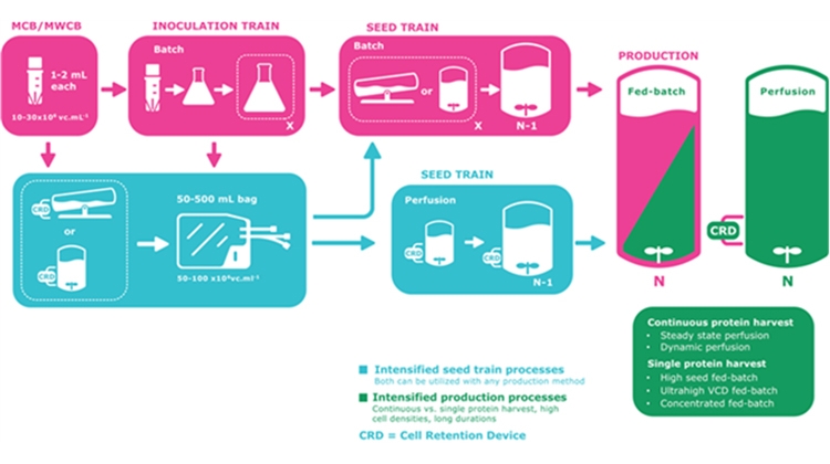 BioContinuum™ Seed Train Platform