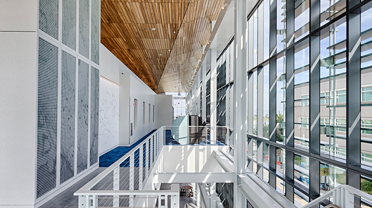 Flexibility in Facility Design and Delivery - Genentech hall Interior